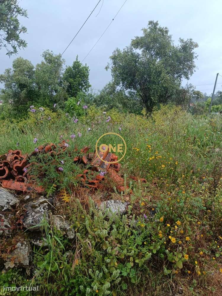 Terreno na Ameixeira – Condeixa-a-Nova - Grande imagem: 5/13