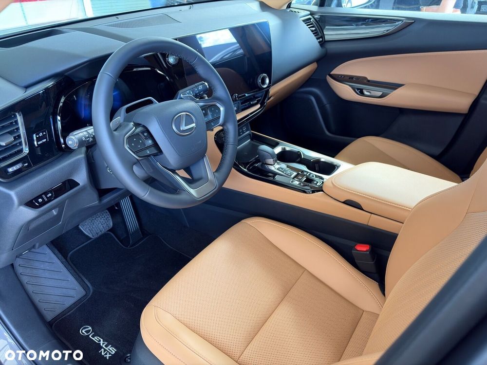 Lexus NX - 10