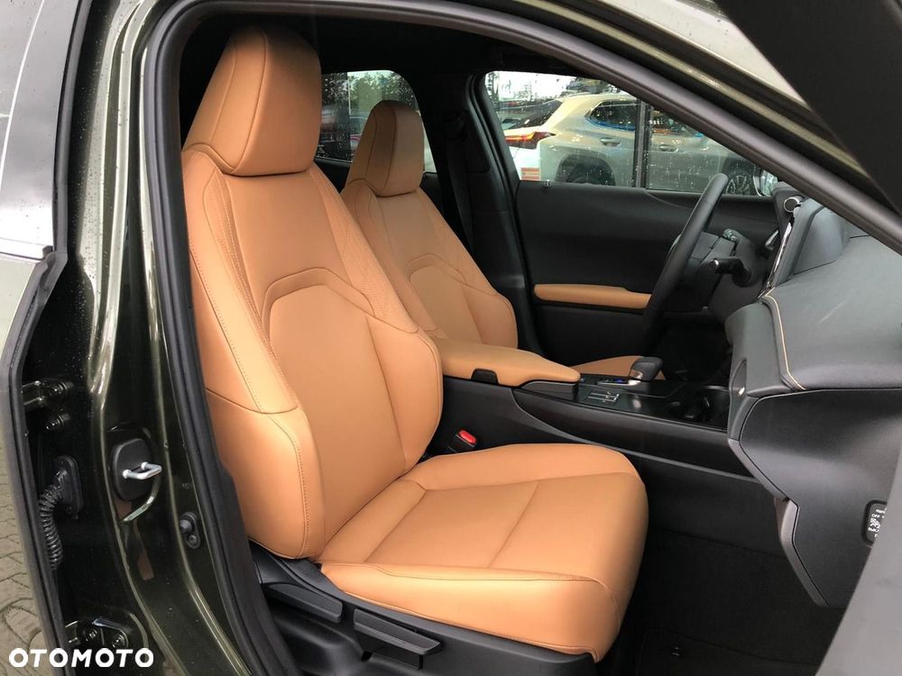 Lexus UX 300h F Sport Design - 28