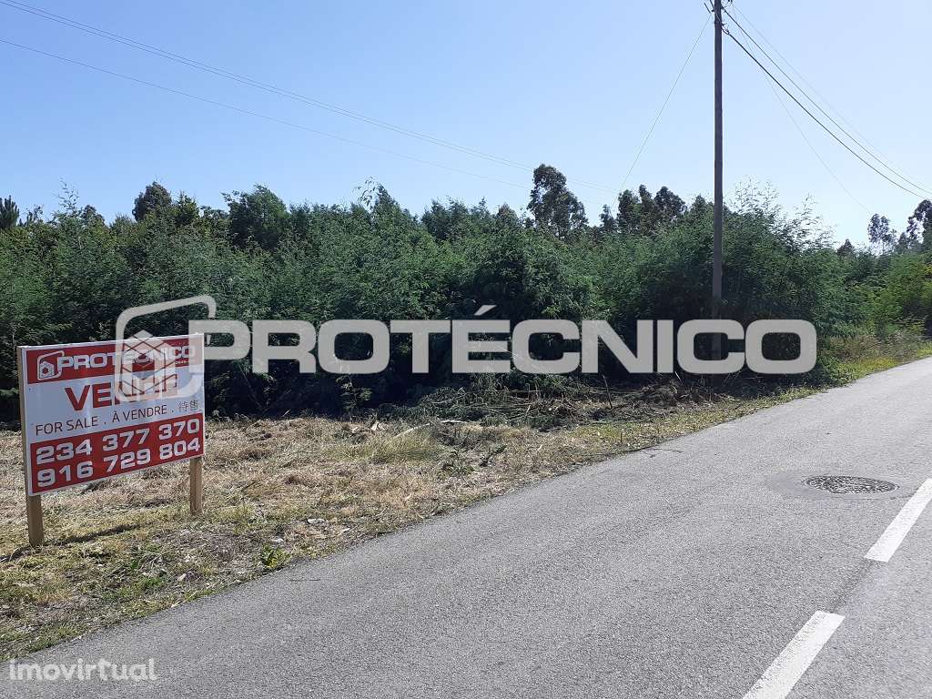 Terreno c/ 7.300m2 – Azenhas de Baixo - Grande imagem: 4/13