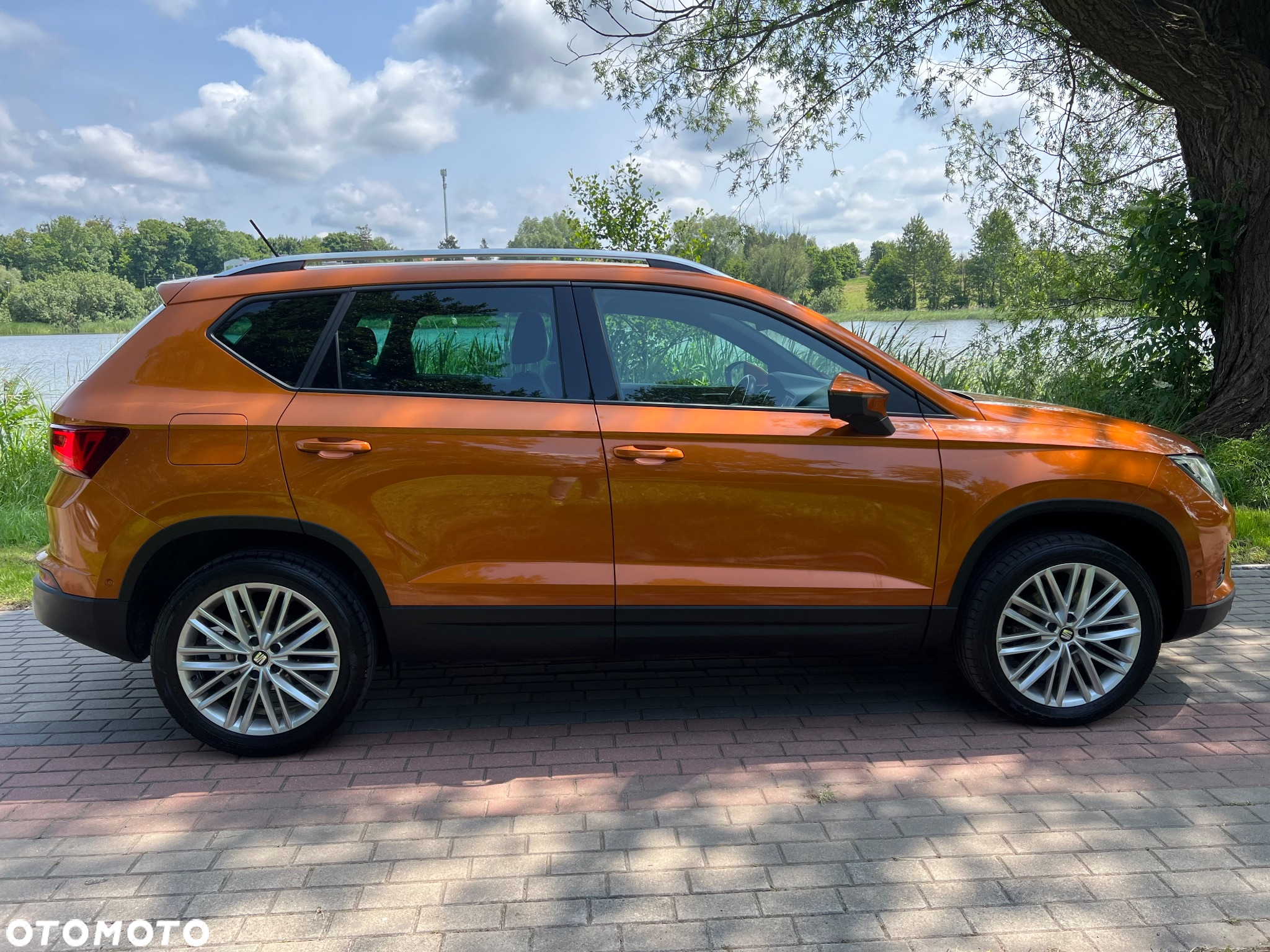 Seat Ateca 2.0 TDI Xcellence S&S 4Drive DSG - 2