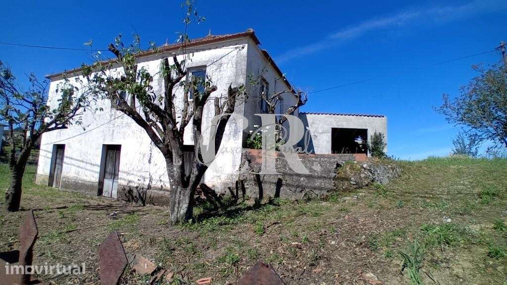 Casa tradicional portuguesa com terreno em Arega - Figueiró dos Vinhos - Grande imagem: 3/43