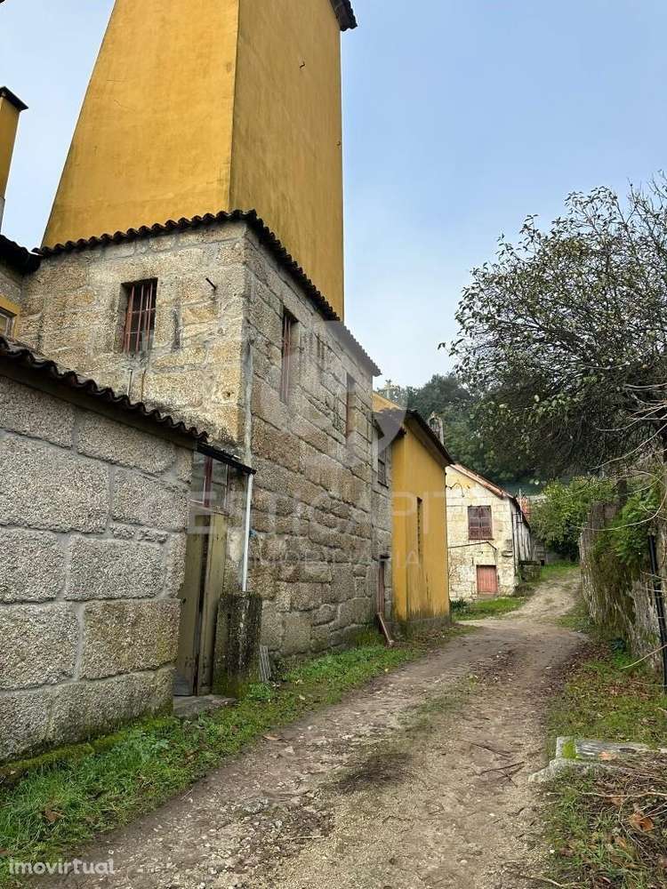 Casa de Quintã – Solar brasonado histórico com vinha em Marco de Canav - Grande imagem: 3/19
