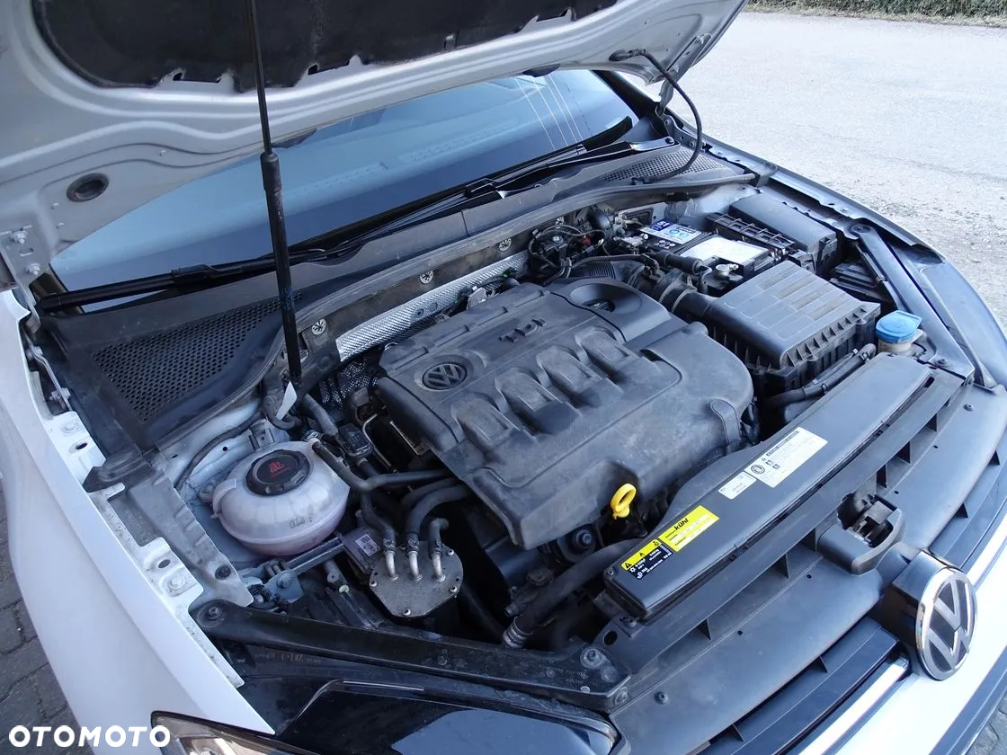Volkswagen Golf - 36