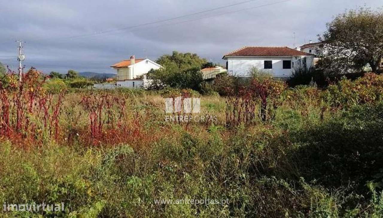 Venda de terreno agricola, Chafé, Viana do Castelo - Grande imagem: 3/30