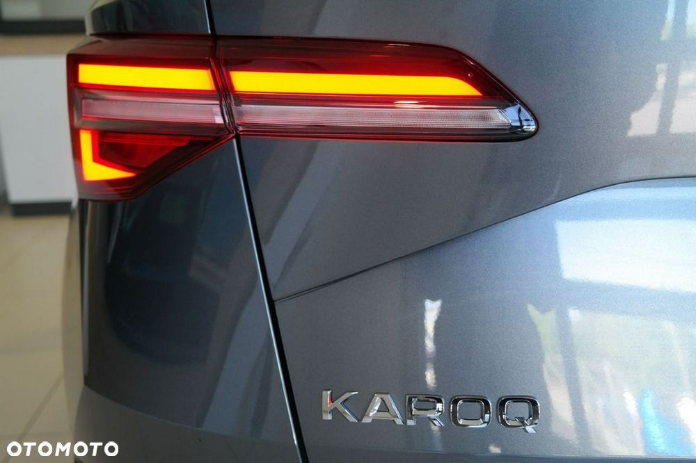 Skoda Karoq - 10