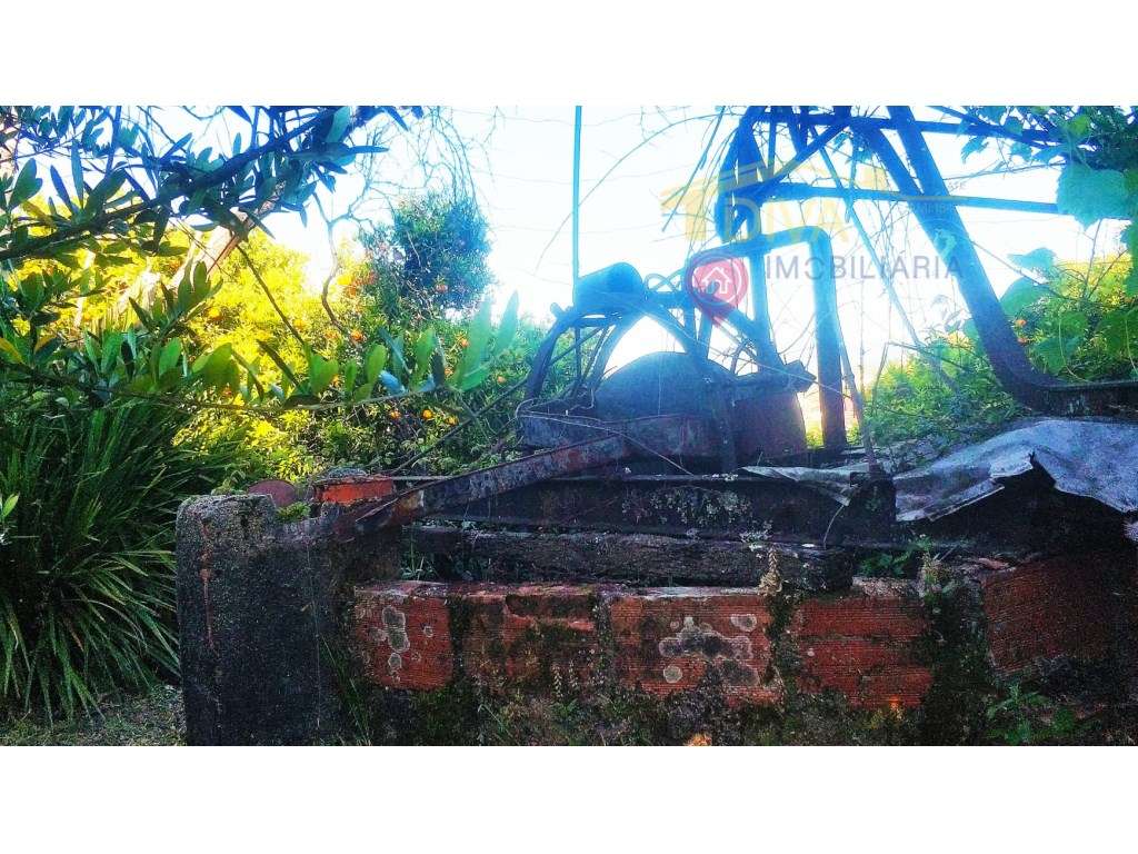 Quinta T2 com poço de água e terreno, em Pedrógão Grande - Grande imagem: 4/41