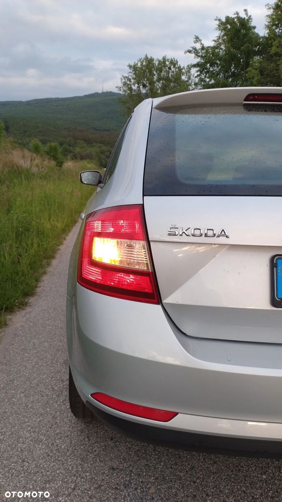 Skoda RAPID - 24