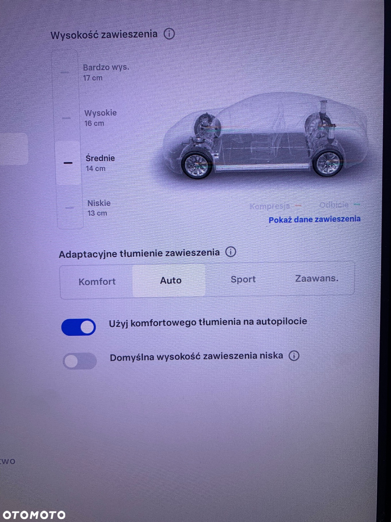 Tesla Model S 100 D Performance - 24