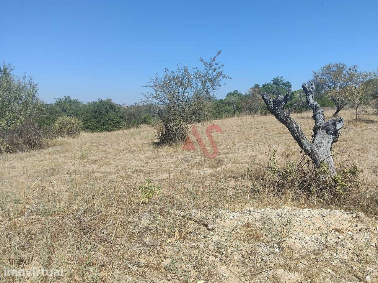 Terreno Rústico com 10.590 m² em Vale da Ursa, Guia – Albufeira - Grande imagem: 4/7