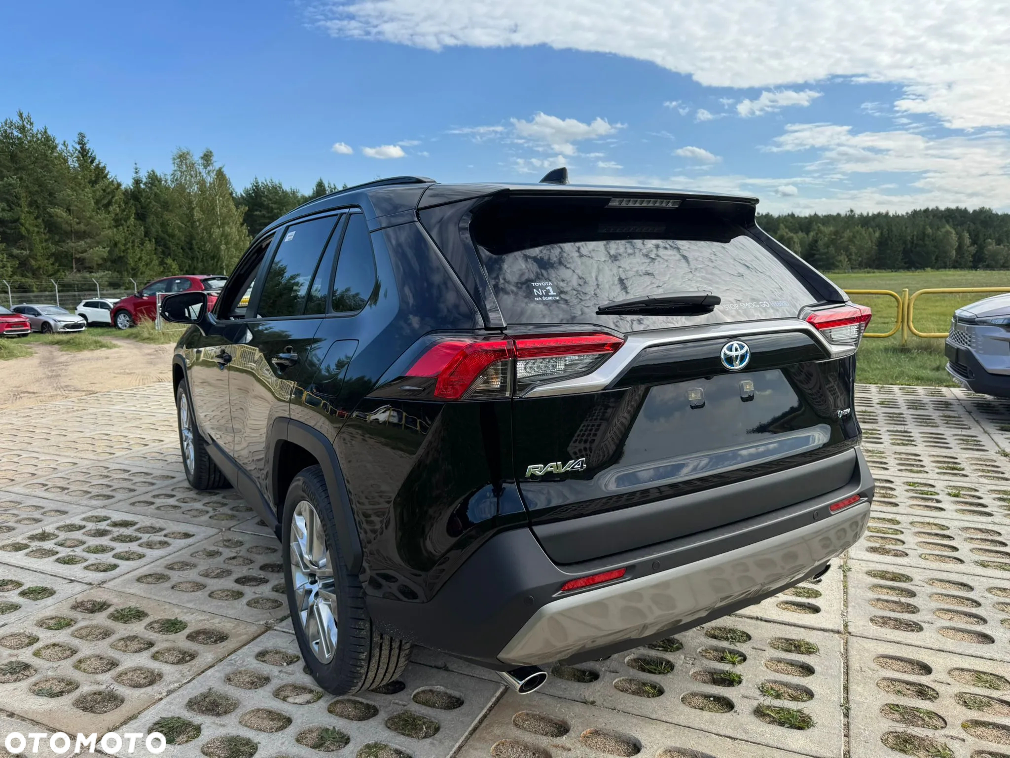 Toyota RAV4 2.5 Hybrid Executive 4x4 - 7