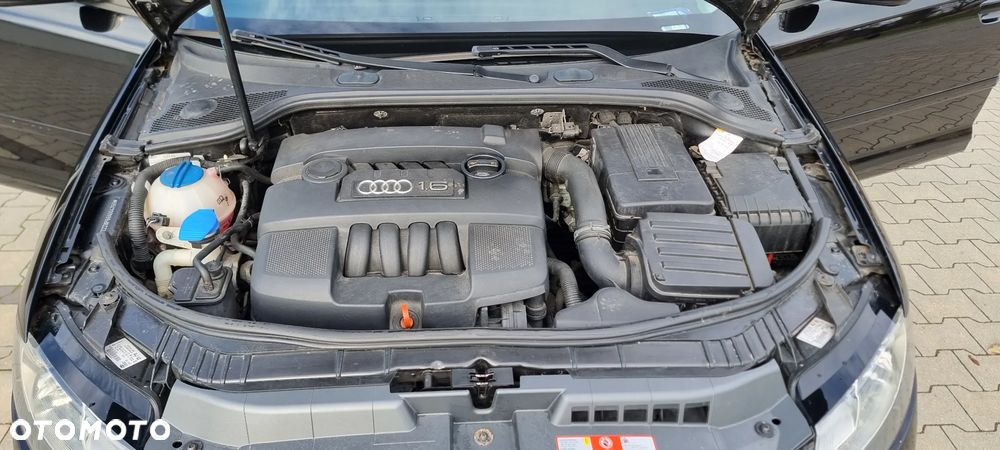 Audi A3 Sportback 1.6 Attraction - 21