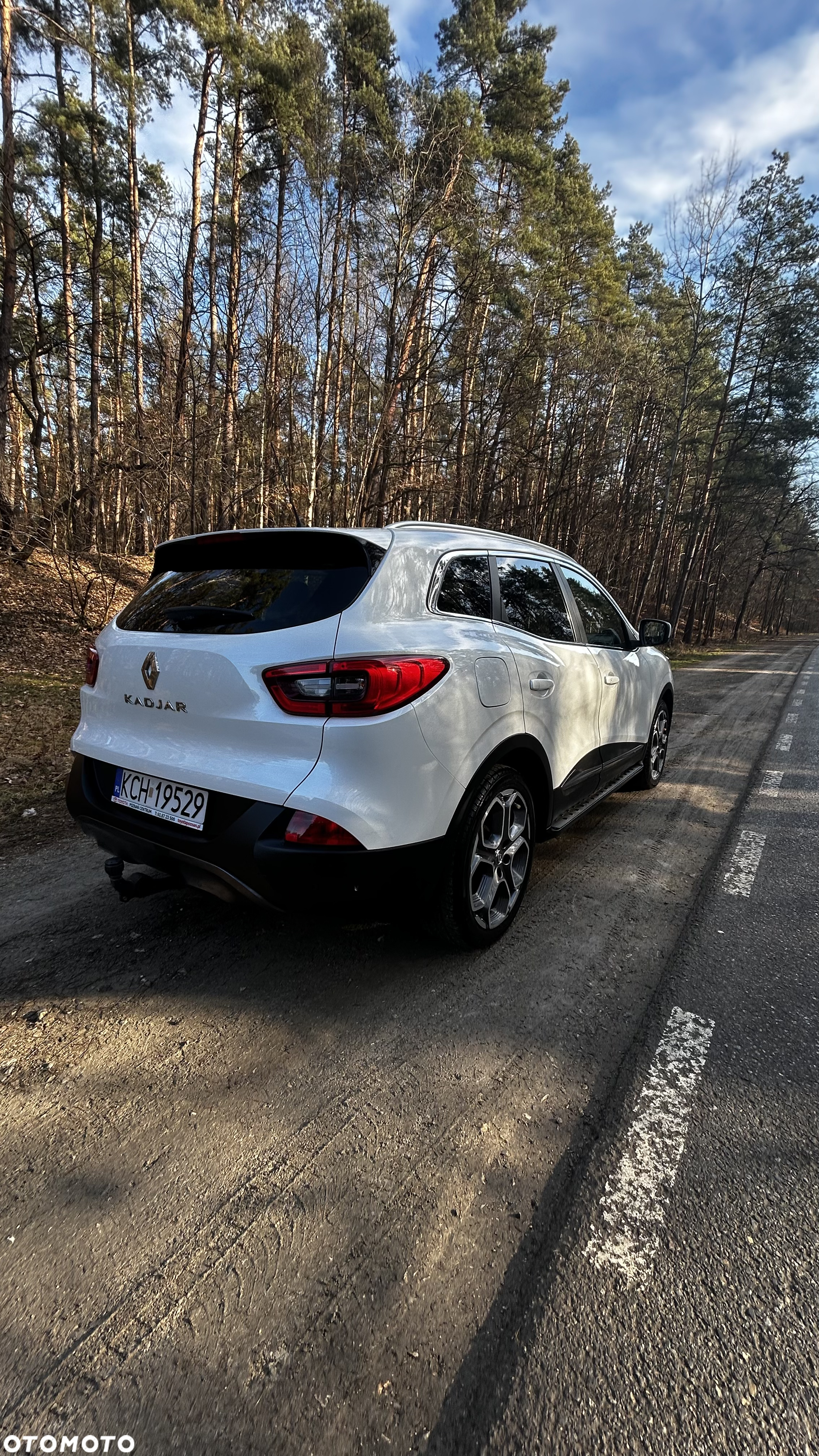 Renault Kadjar 1.2 Energy TCe Limited - 20