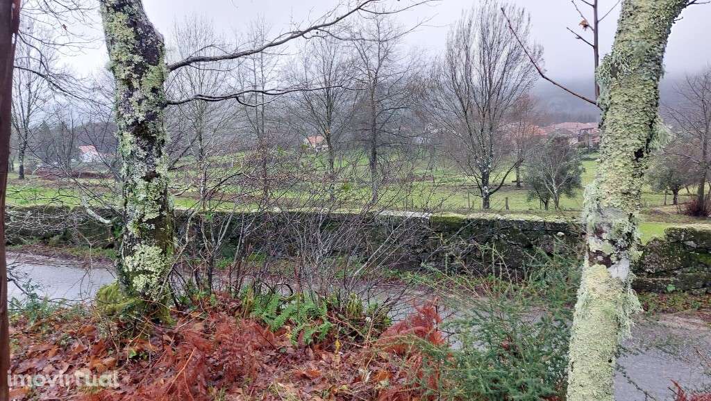 Terreno rústico - Agra, Rossas - Grande imagem: 3/9