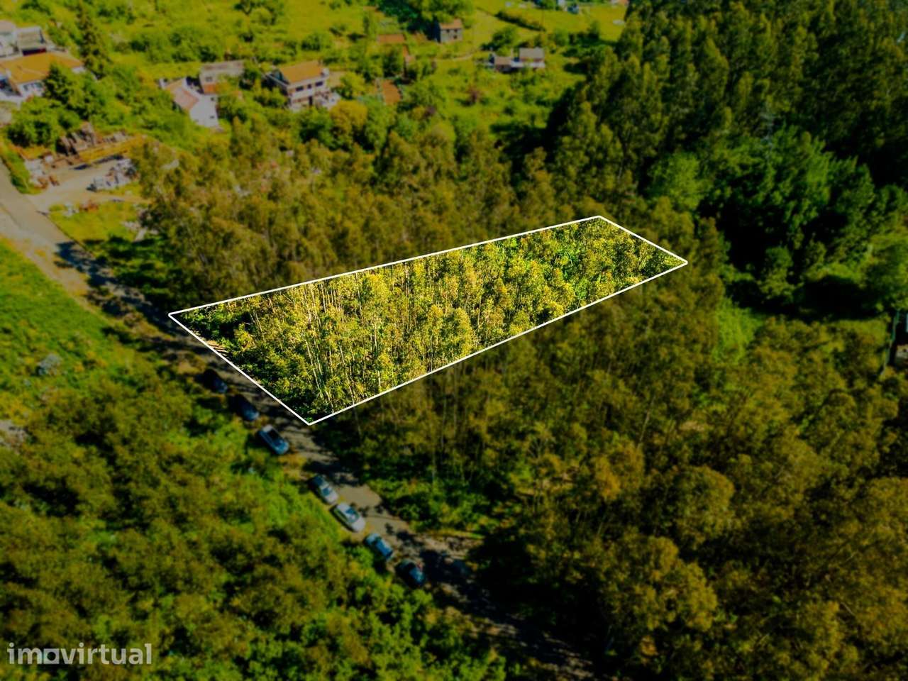 Terreno com 1510m2 - Camacha - Grande imagem: 3/14
