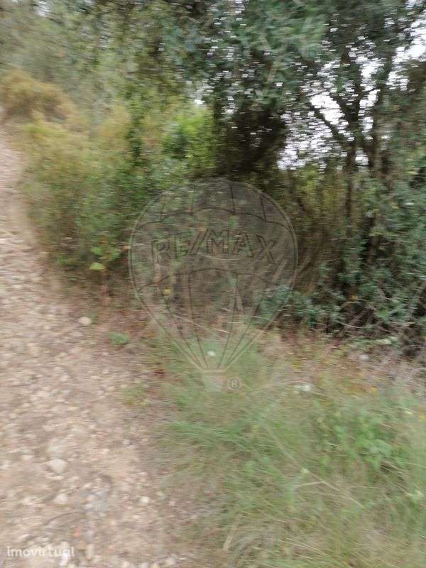 Terreno  para venda - Grande imagem: 2/4