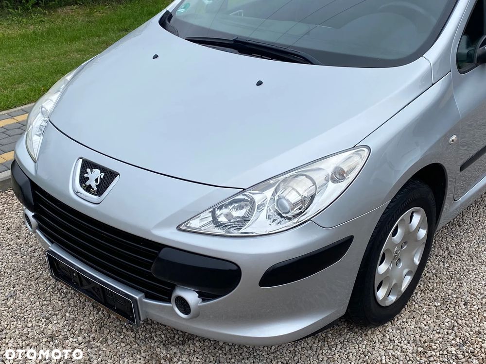 Peugeot 307 110 Tendance - 14