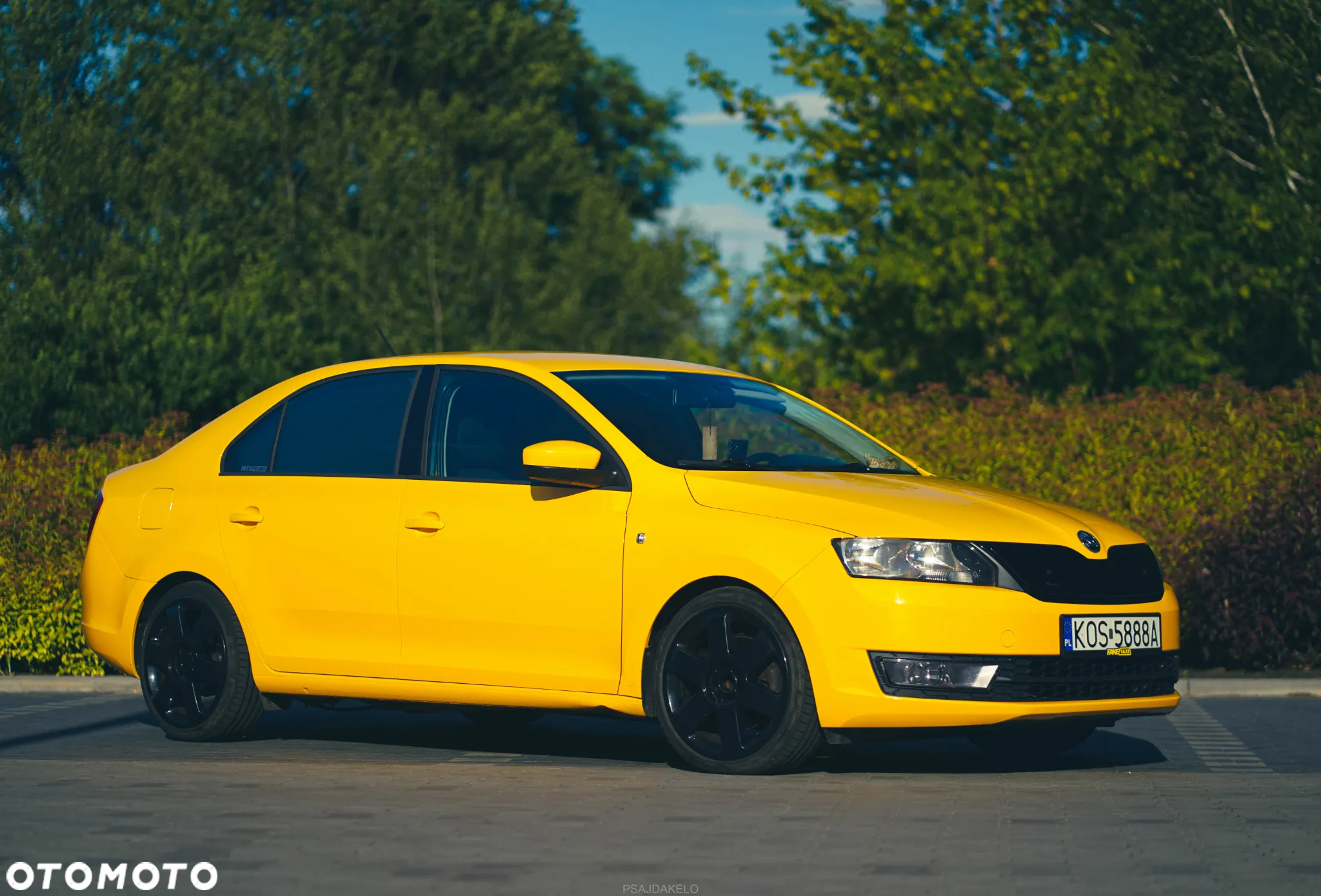 Skoda RAPID 1.6 TDI DPF Ambition Max - 21