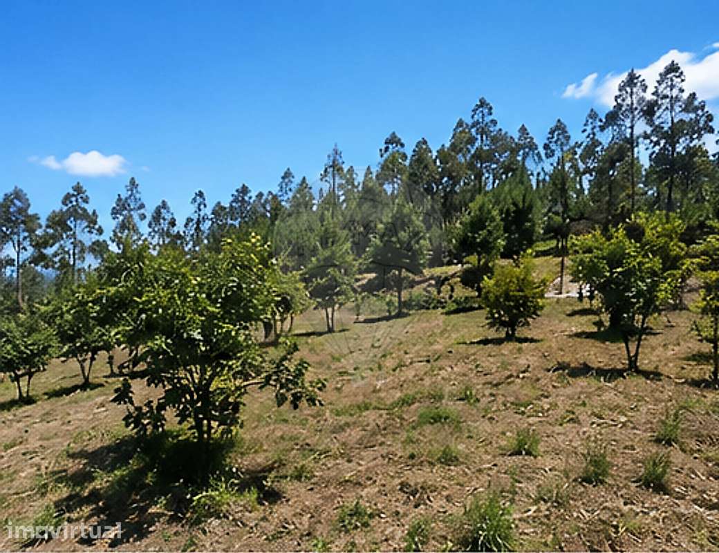 Terreno  para venda - Grande imagem: 5/5