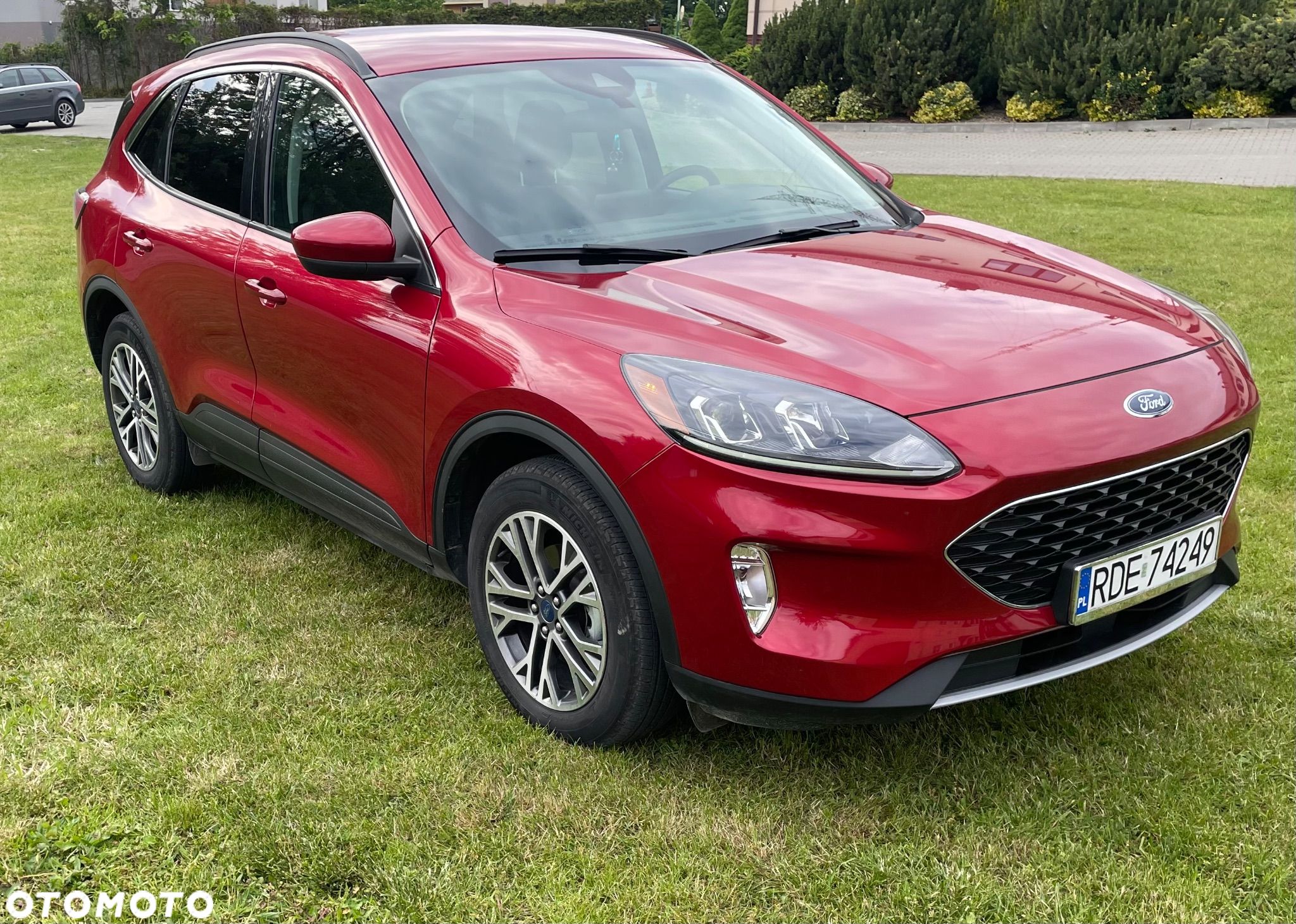 Ford Escape - 1