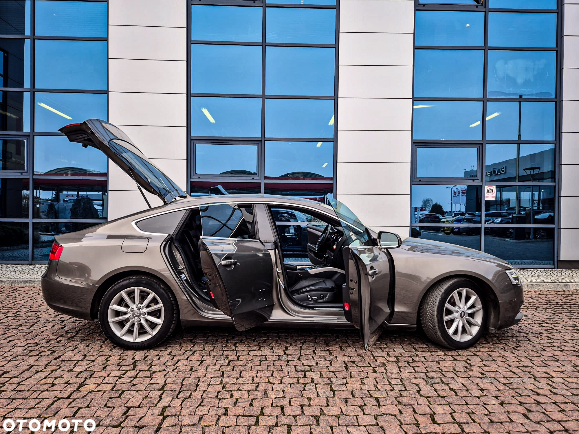 Audi A5 2.0 TDI Sportback (clean diesel) DPF multitronic - 19