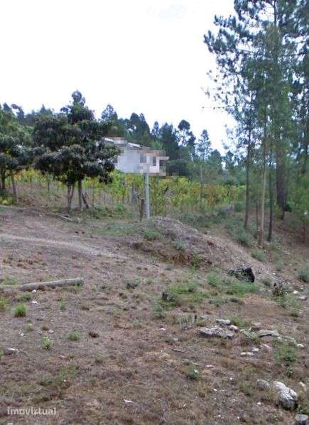 Terreno para construção 3.000 m² – Moreira, Melres, Gondomar