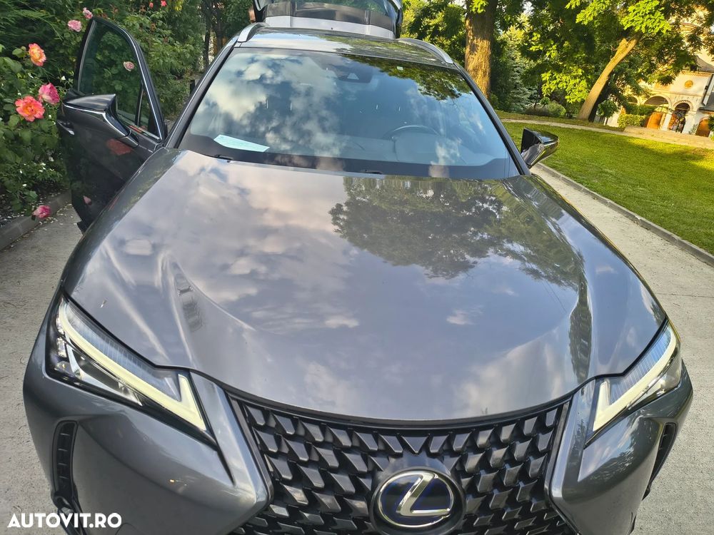 Lexus UX 250h Business Edition - 29