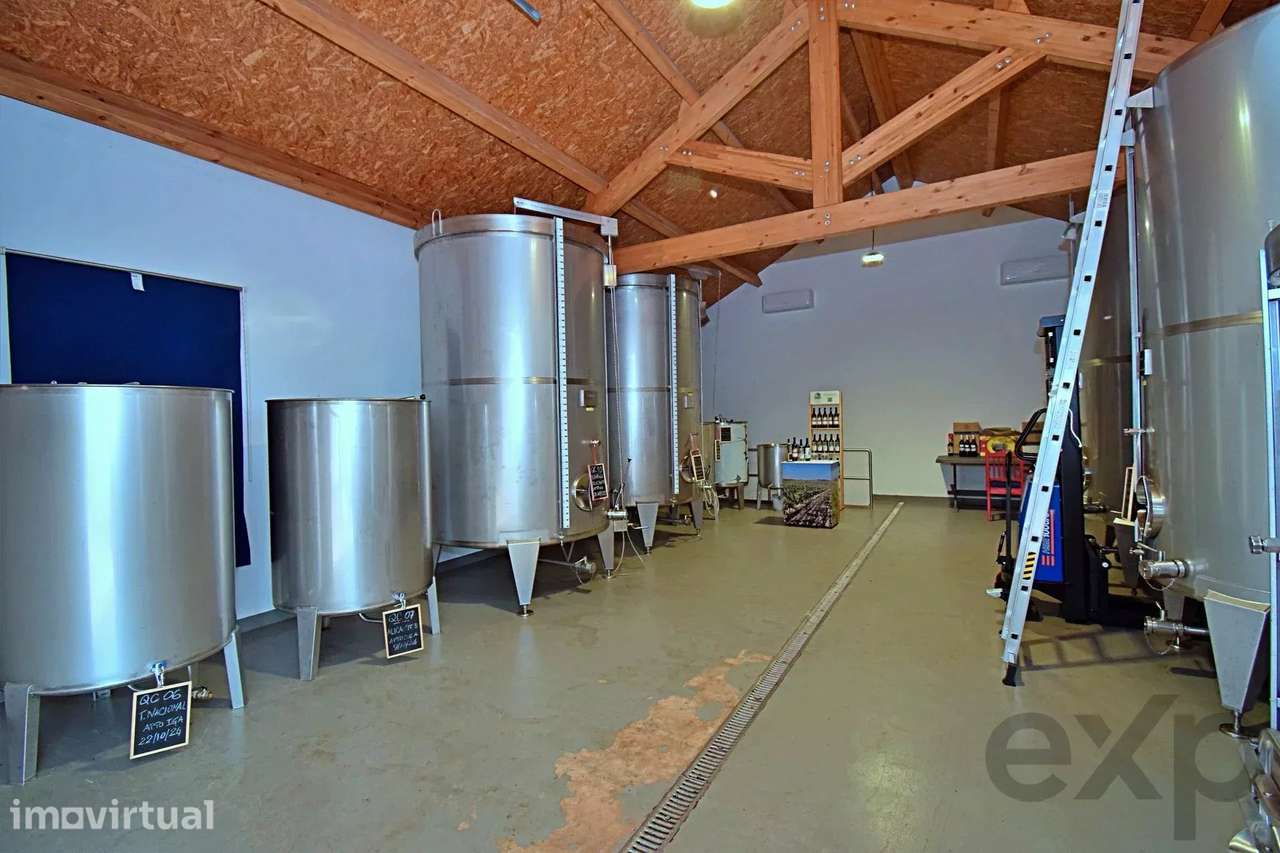 Adega com certificado de Vinho de Denominação de Origem Controlada - A - Grande imagem: 4/14