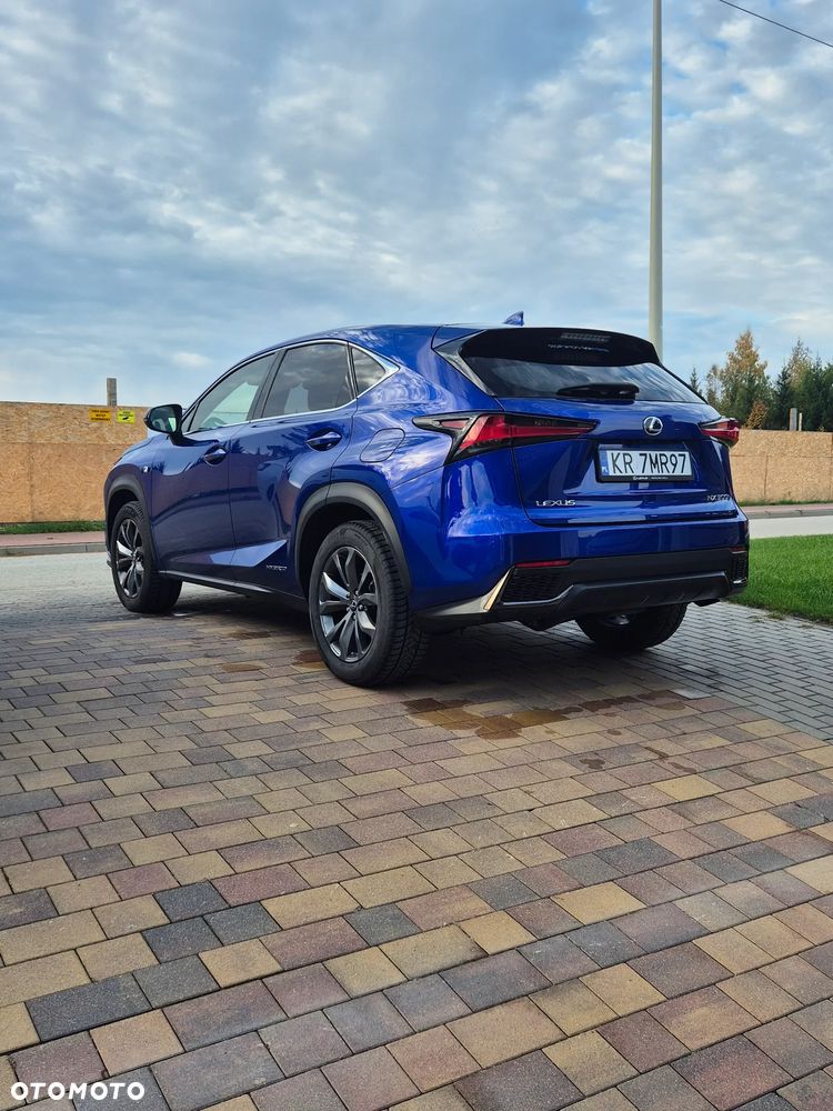 Lexus NX 300h F Sport AWD - 10