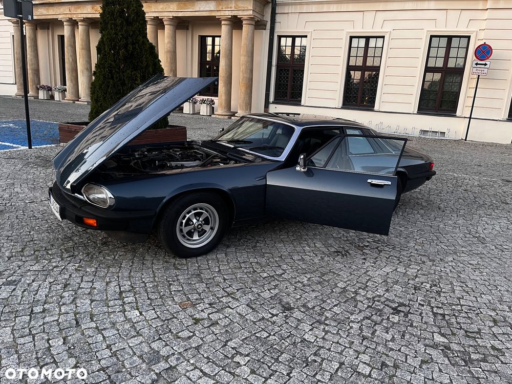 Jaguar XJS - 15