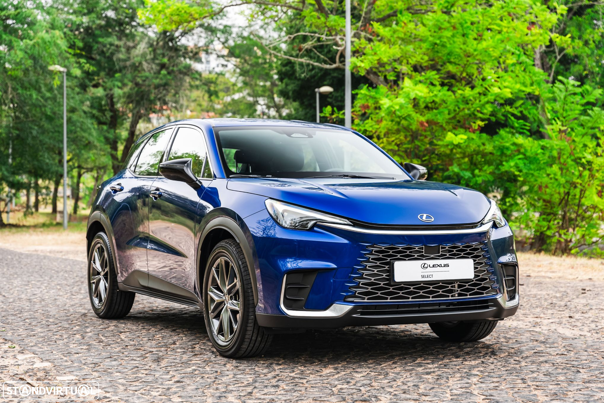 Lexus LBX Elegant Pele Preta - 19