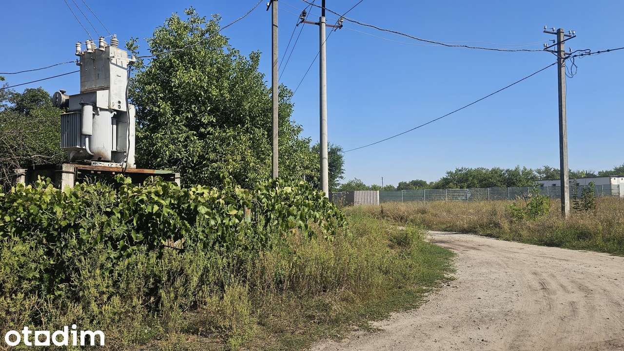 Ділянка 10 соток біля школи, всі комунікації поряд - Повне зображення: 2/3
