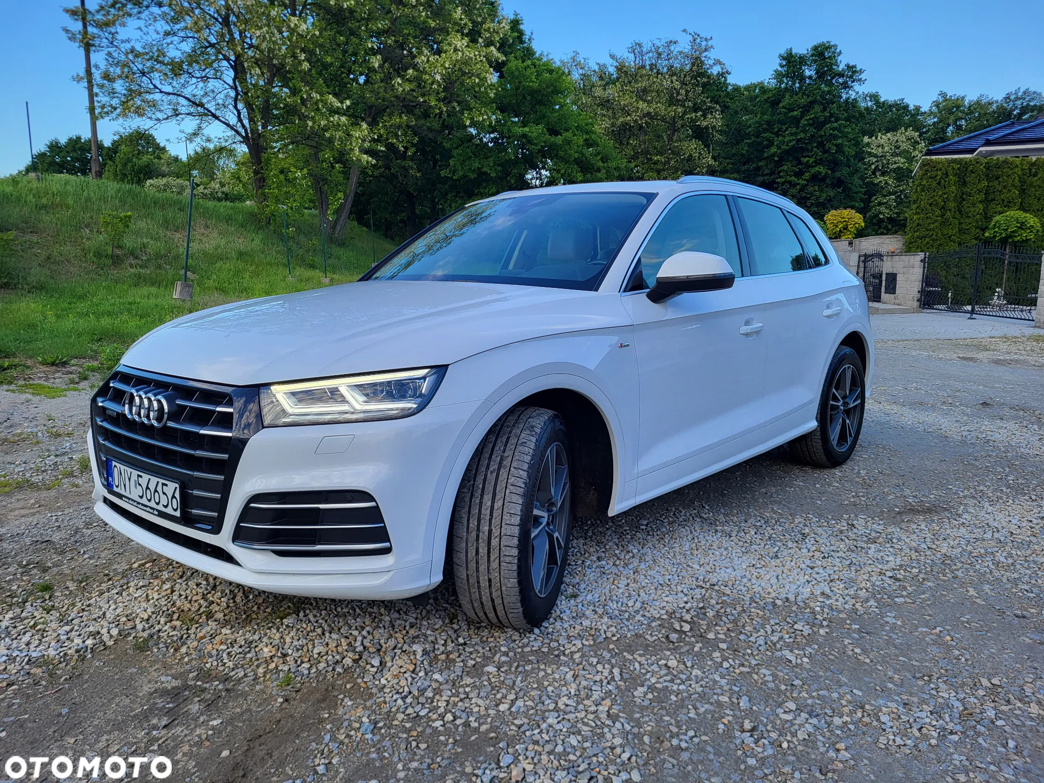 Audi Q5 55 TFSIe quattro S tronic S line business - 2