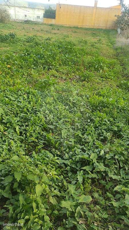 Terreno  para venda - Grande imagem: 4/4