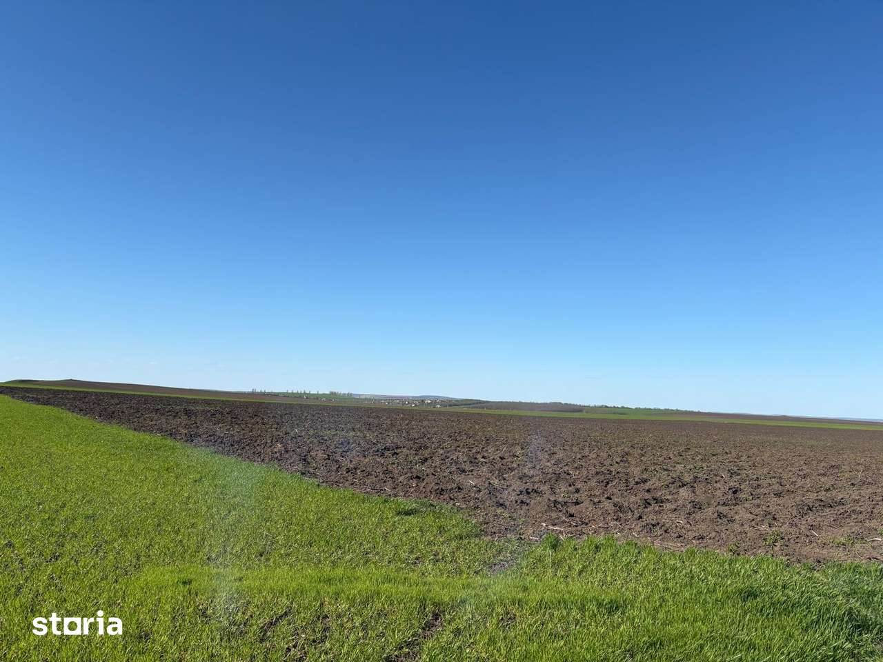 Teren extravilan Comuna Rediu, sat Horlesti, 46210 mp compact - Imagine principală: 2/3