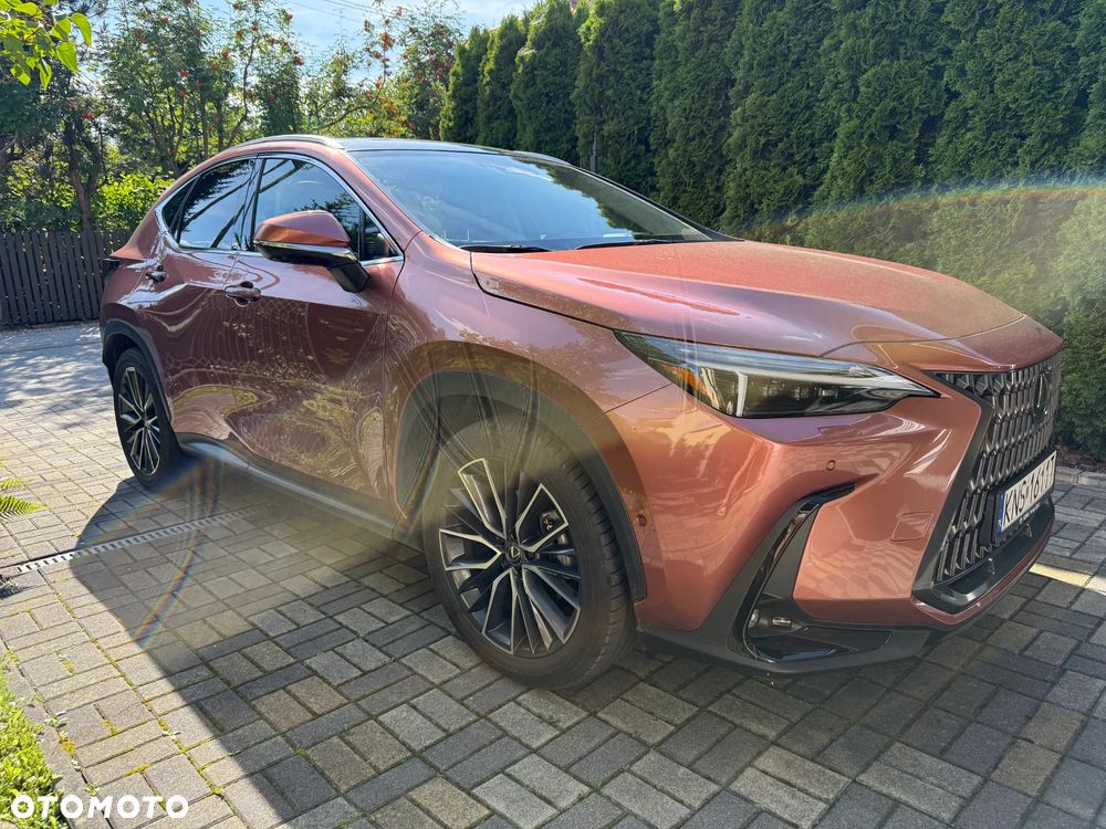 Lexus NX 350h Omotenashi AWD - 4