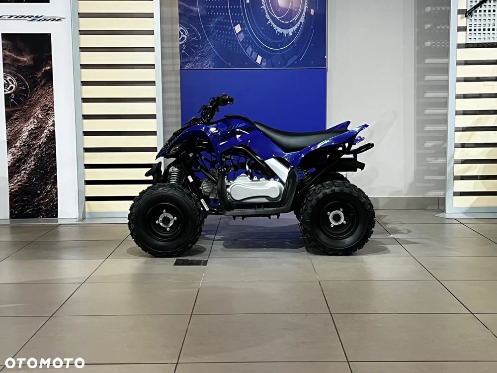 Yamaha YFM - 2