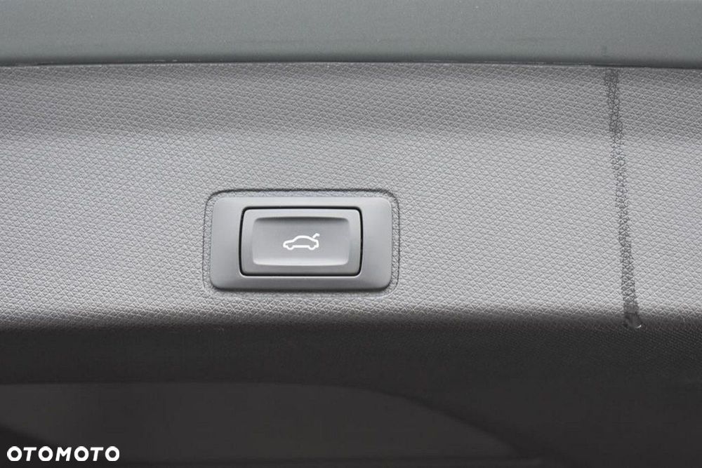 Cupra Terramar 2.0 TSI 4Drive VZ America's Cup DSG - 22