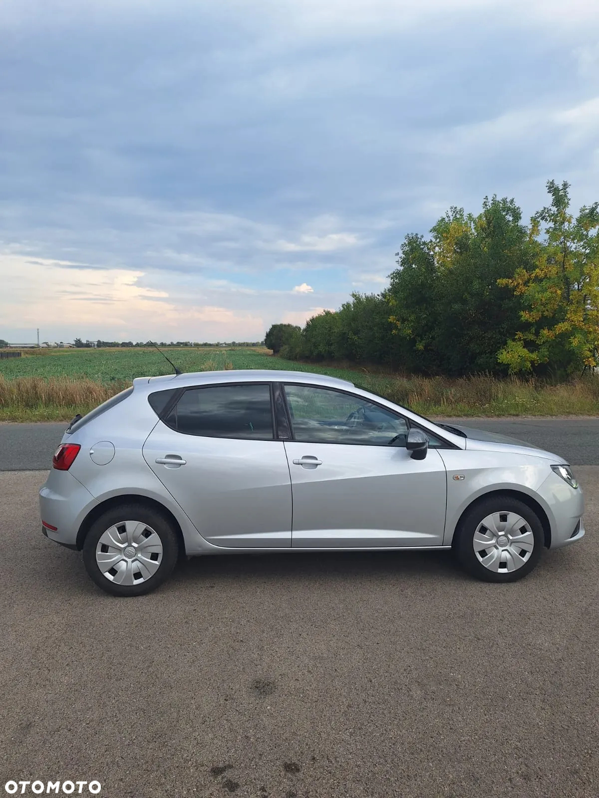 Seat Ibiza - 11
