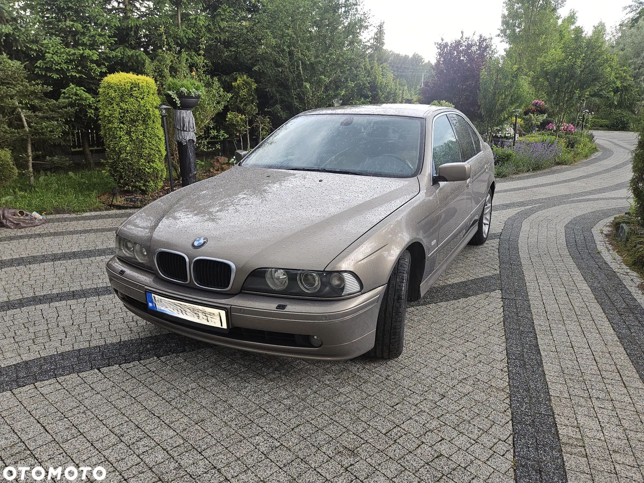 BMW Seria 5 525d - 1