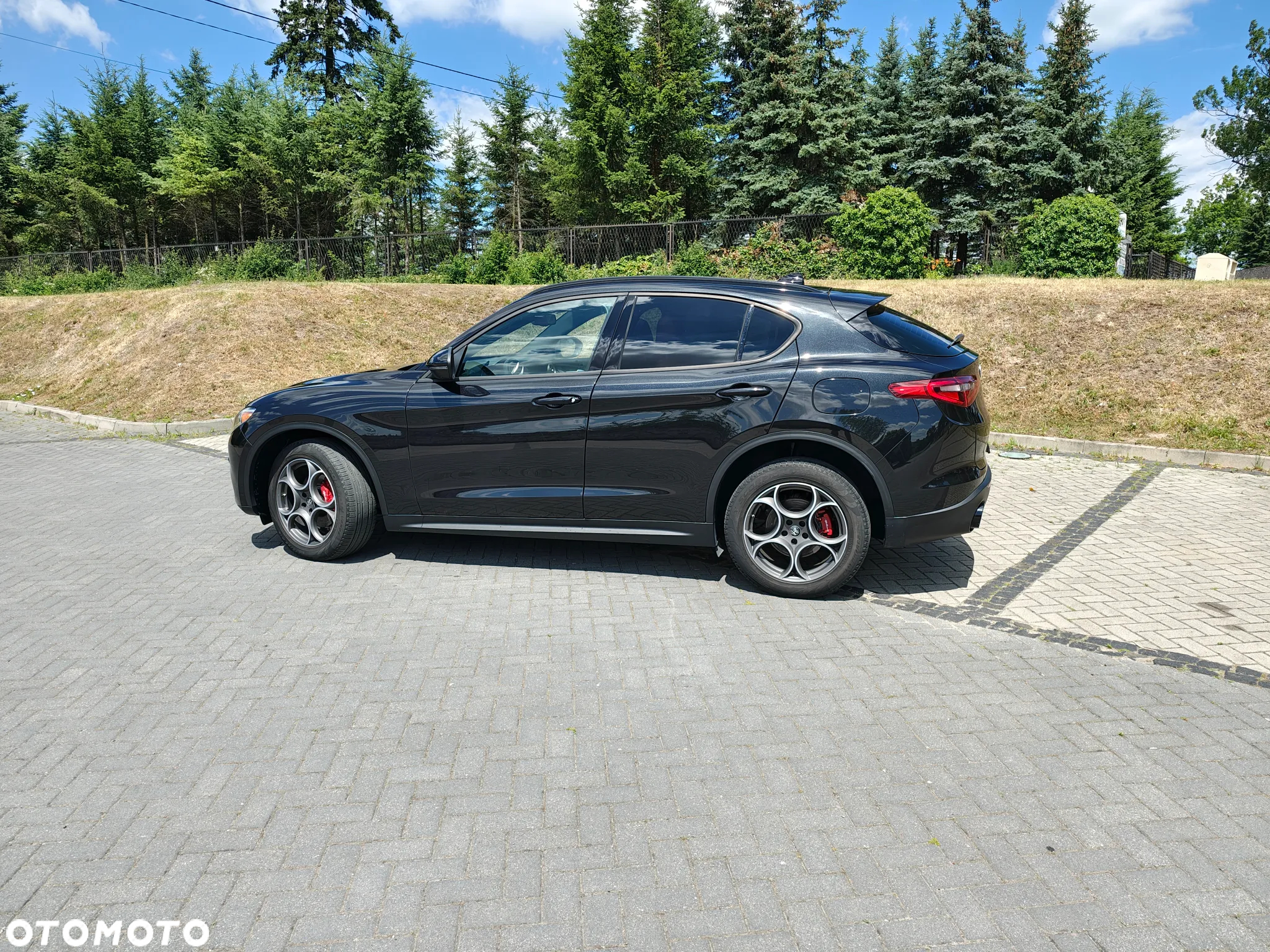 Alfa Romeo Stelvio 2.0 Turbo 16V AT8-Q4 Sprint - 4