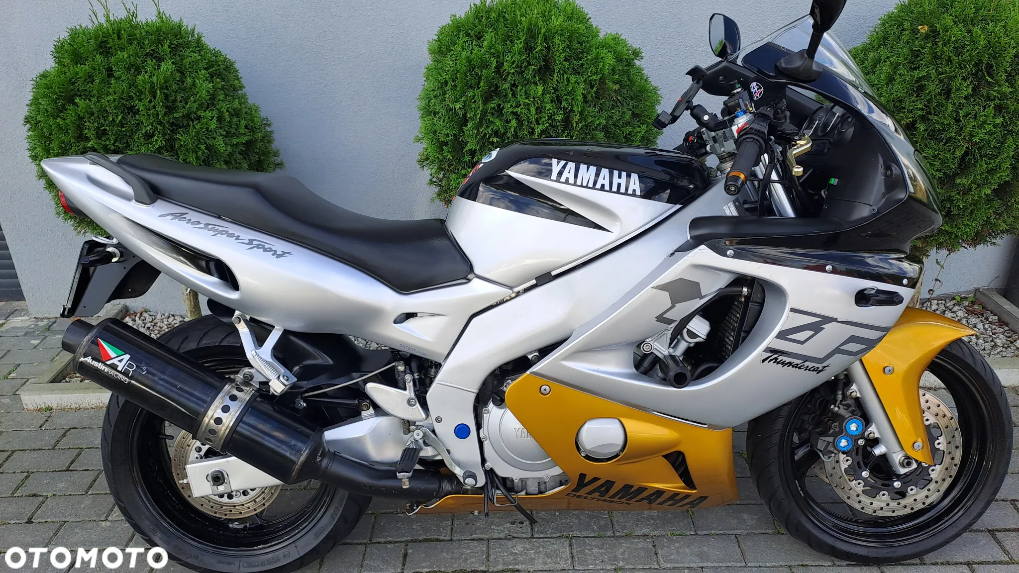 Yamaha Thundercat - 40