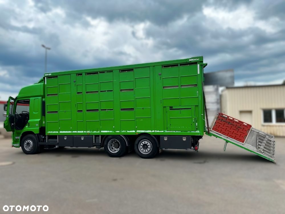 DAF CF 440 6x2 | Transport Zwierząt | KA-BA 3 Poziomy | Euro 6 | Automat | 2017 r - 6