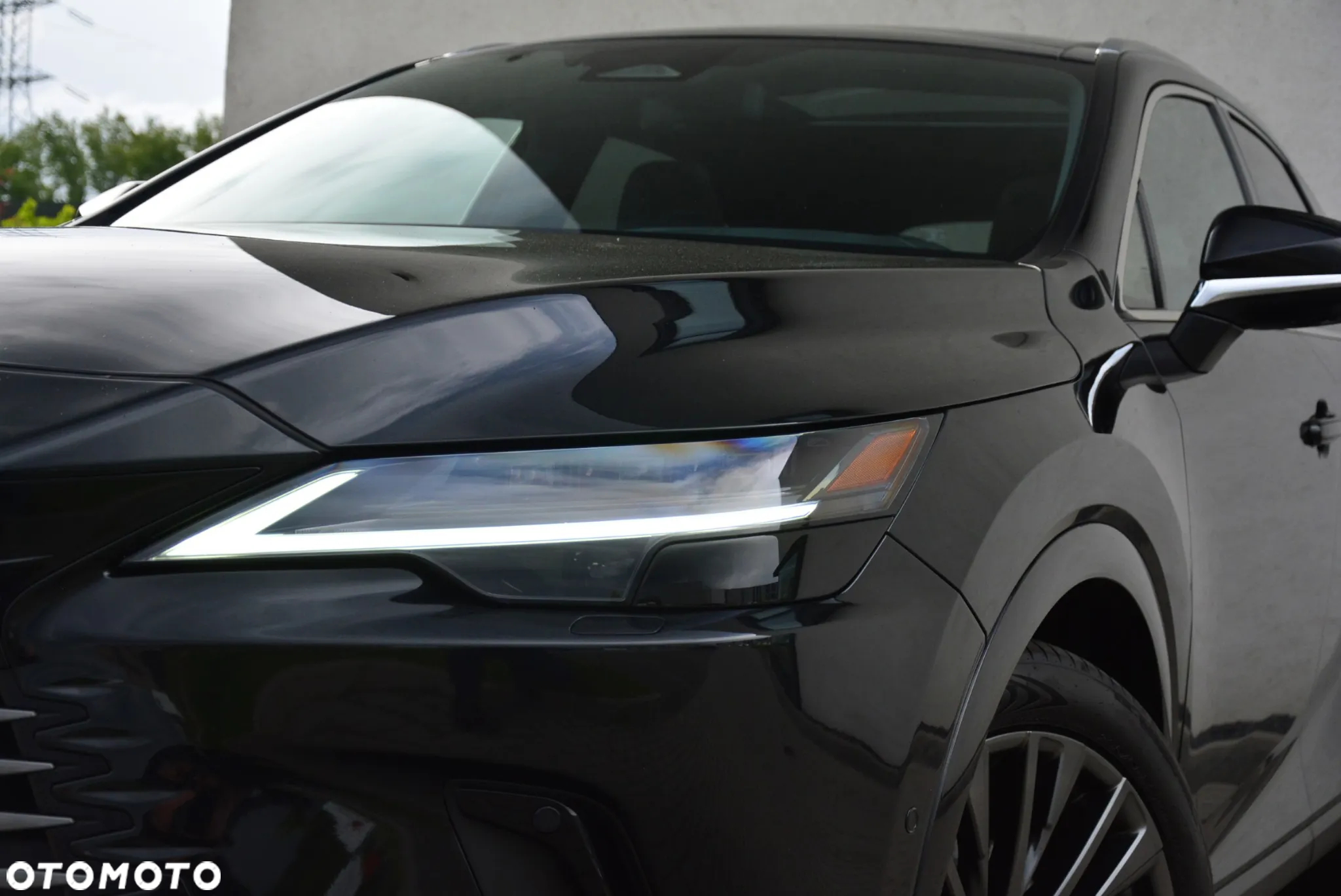Lexus RX - 6