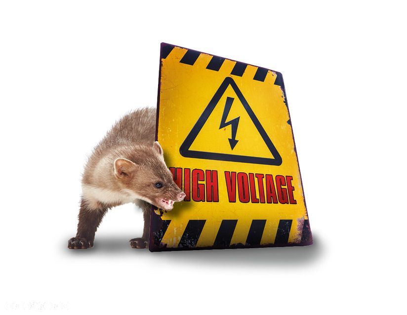 ODSTRASZACZ GRYZONI WIELOFUNKCYJNY KUNY M9700 - 6