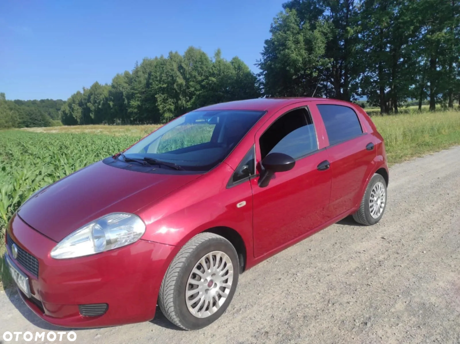 Fiat Punto - 3