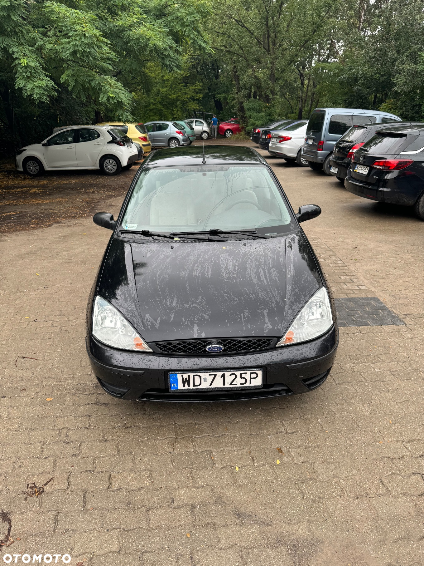 Ford Focus 1.8 Di Ambiente - 2