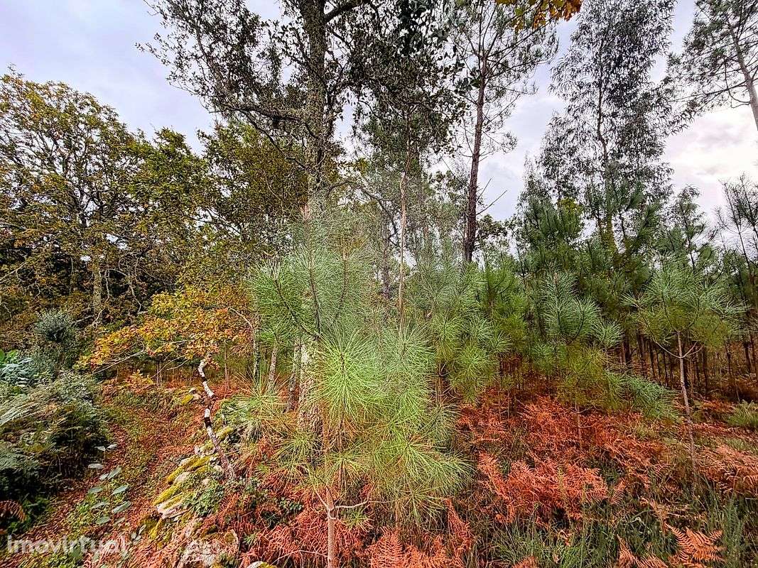 Terreno  para venda - Grande imagem: 3/6