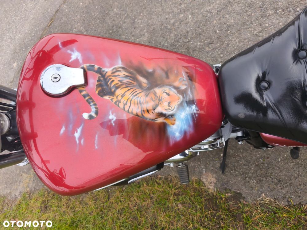 Yamaha Virago - 17