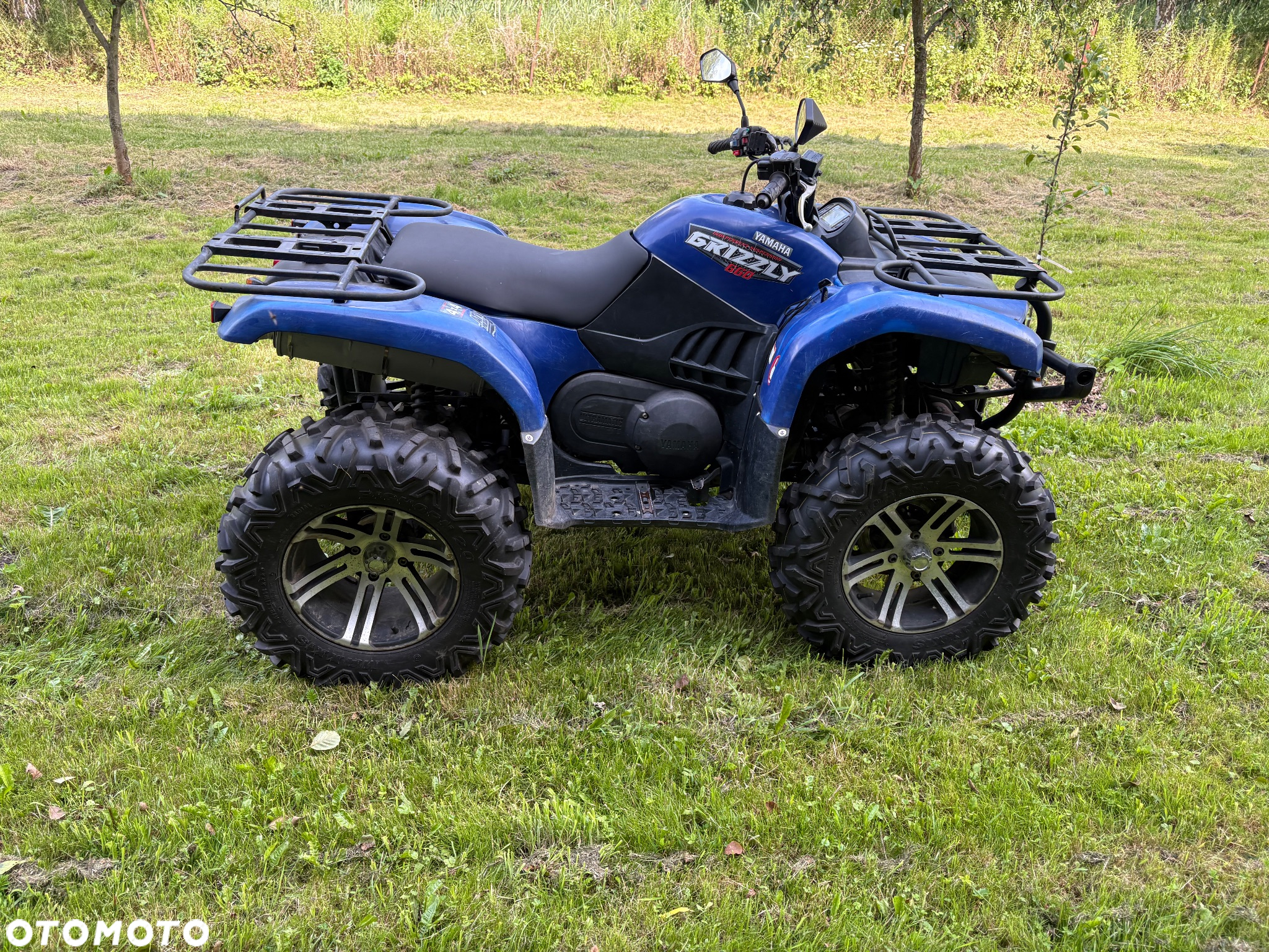 Yamaha Grizzly - 6